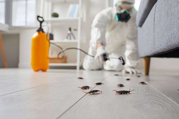 Commercial Kitchen Cockroach Control in American Falls